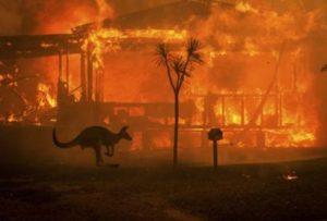 Australian Bushfires