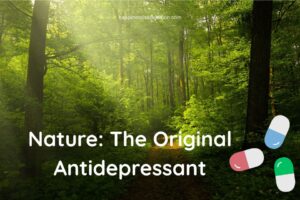 Scene of a forest with the heading Nature: The Original Antidepressant.